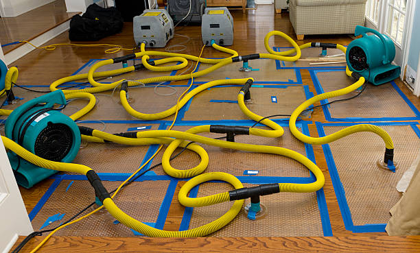 Professional Storm Water Damage Restoration technician working in Raymore, MO